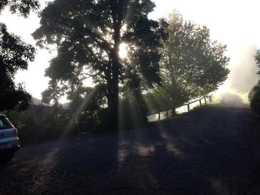 Killarney Spring Creek Mountain Cafe & Cottages חדר תמונה
